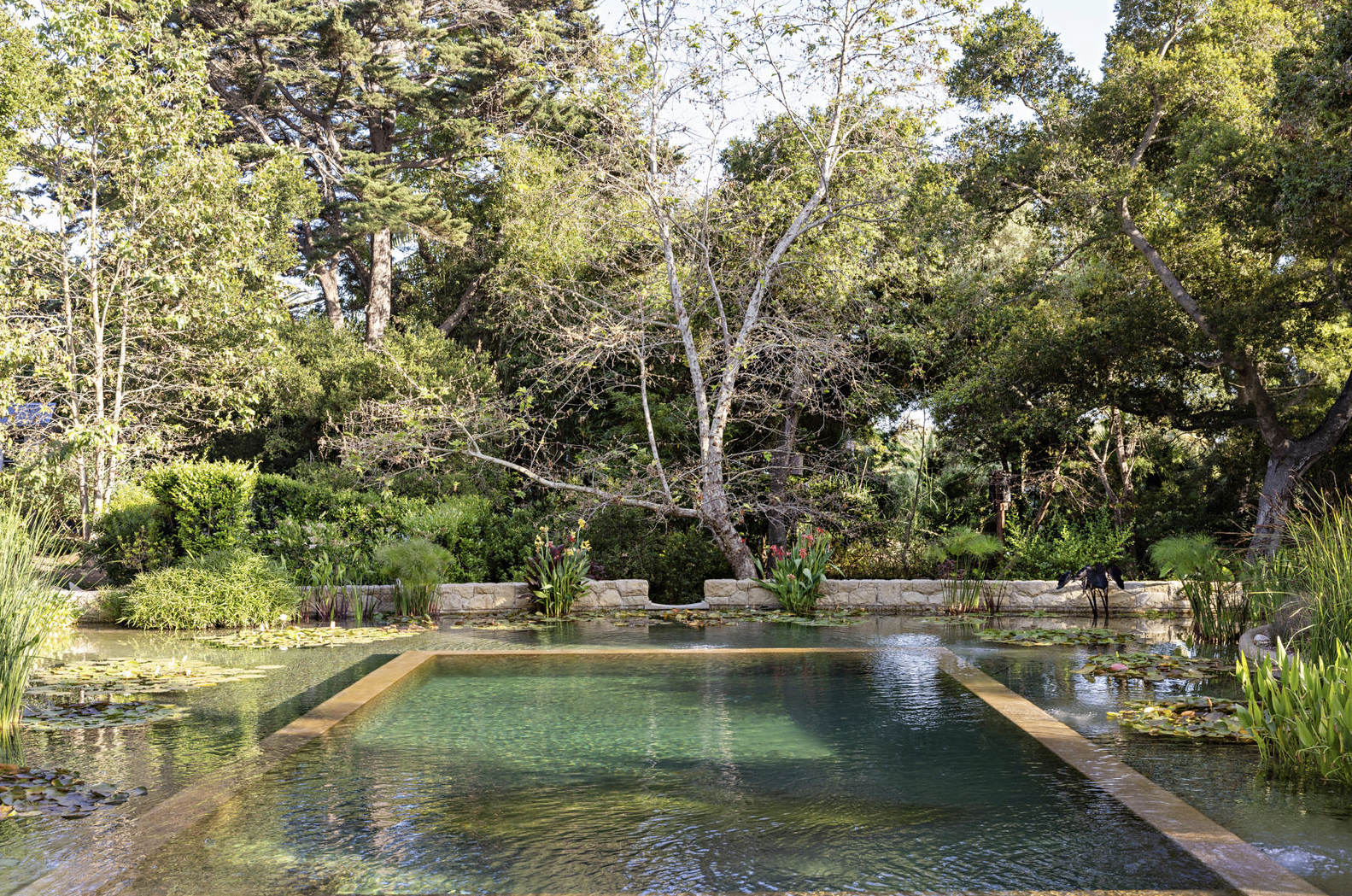A natural pool surrounded by trees