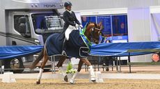 Area Festival Championships Georgina Tapner Bugatti