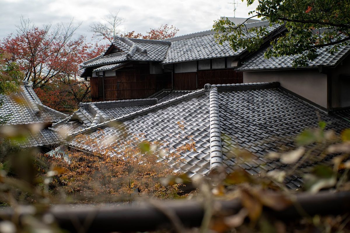 Pergear 35mm f/1.4 sample images