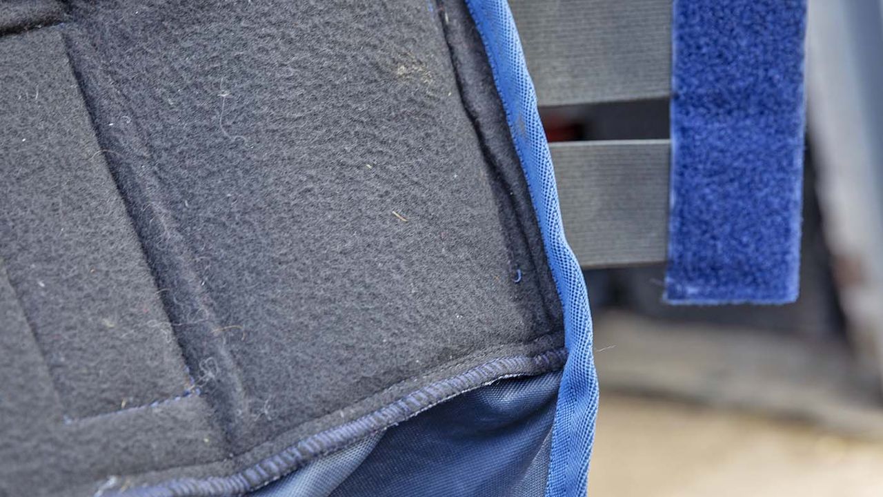 Bucas tail protector and bag review