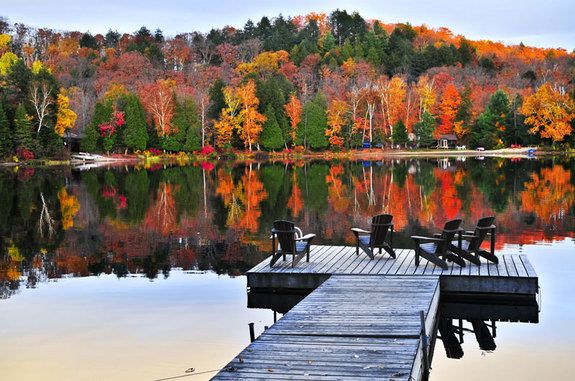 fall leaves in new york&#039;s adirondacks