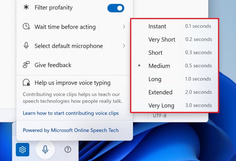 Voice Typing Wait time before acting