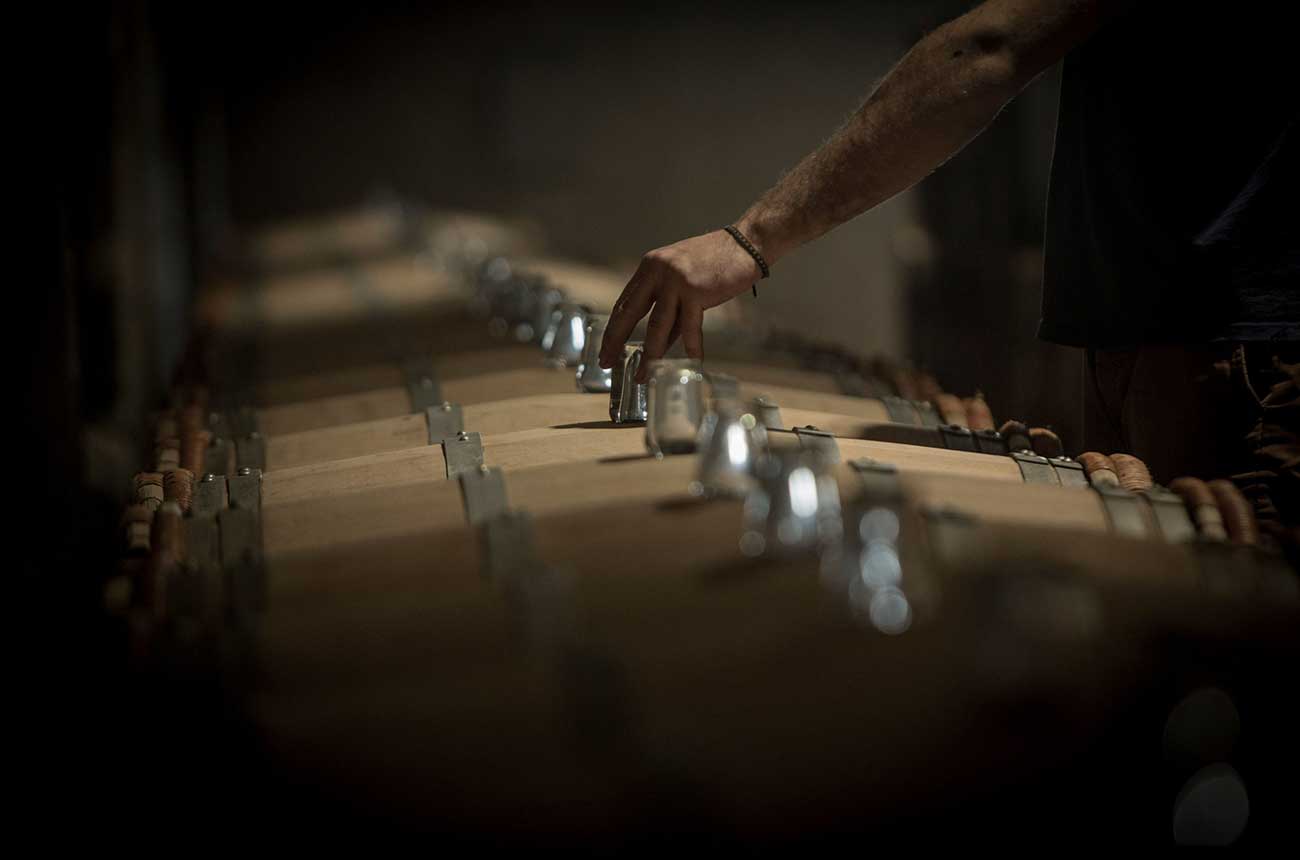 Ch&acirc;teau Palmer wines