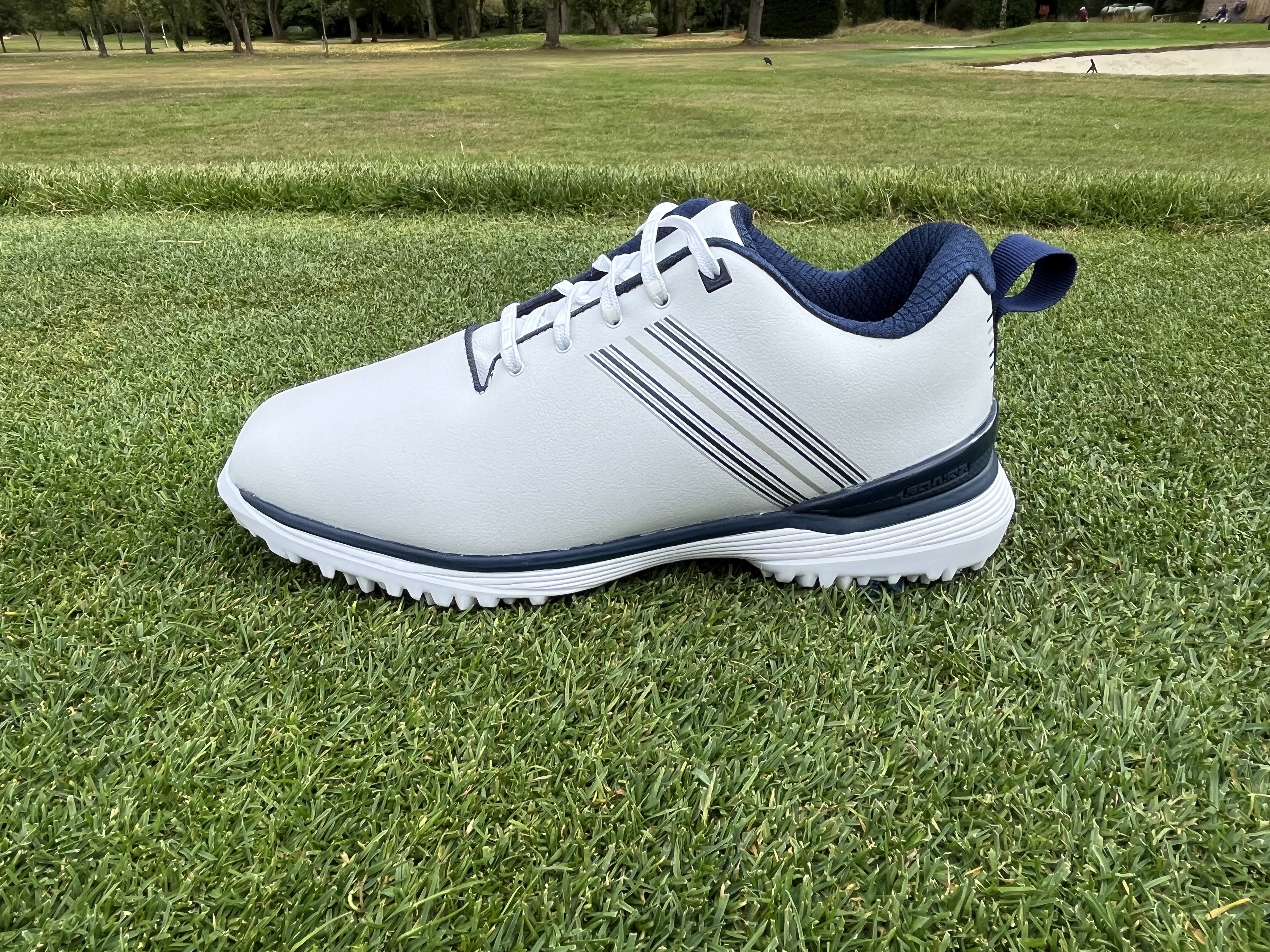 Sqairz ProS2 LT Golf Shoe review