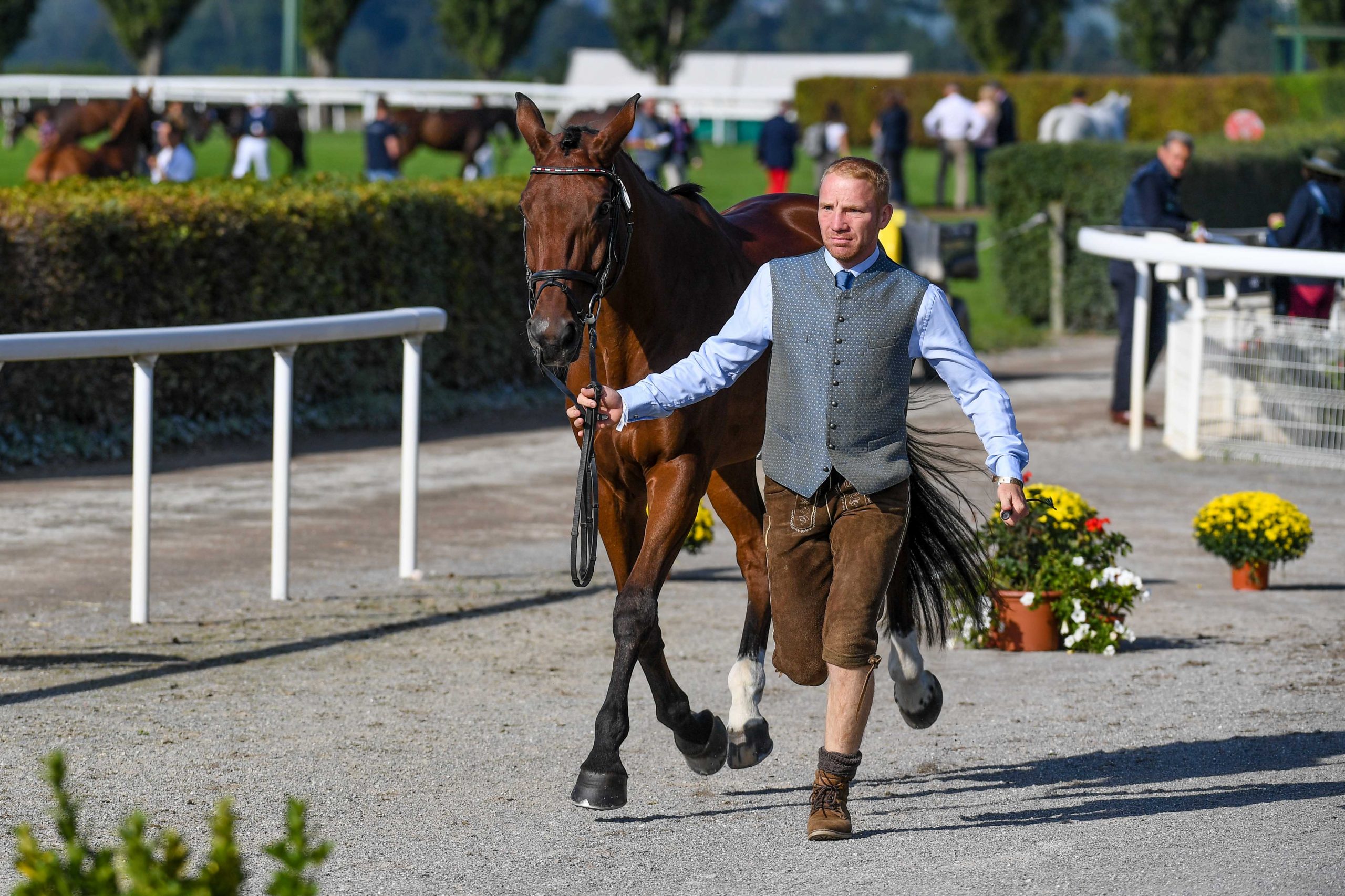 European Eventing Championships first trot-up: Robert Mandl and Sacr&amp;eacute;-C&amp;oelig;ur