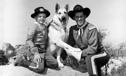 German Shepherd Rin Tin Tin and actors in the popular TV series from the 1950s.