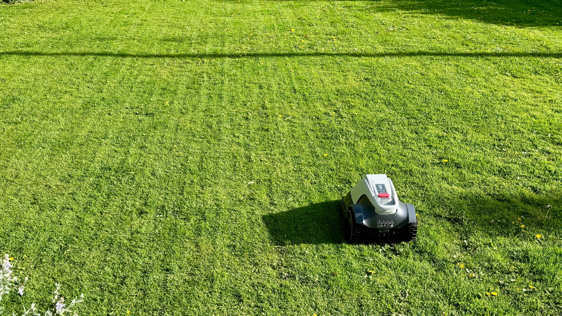 Eufy E15 on the lawn