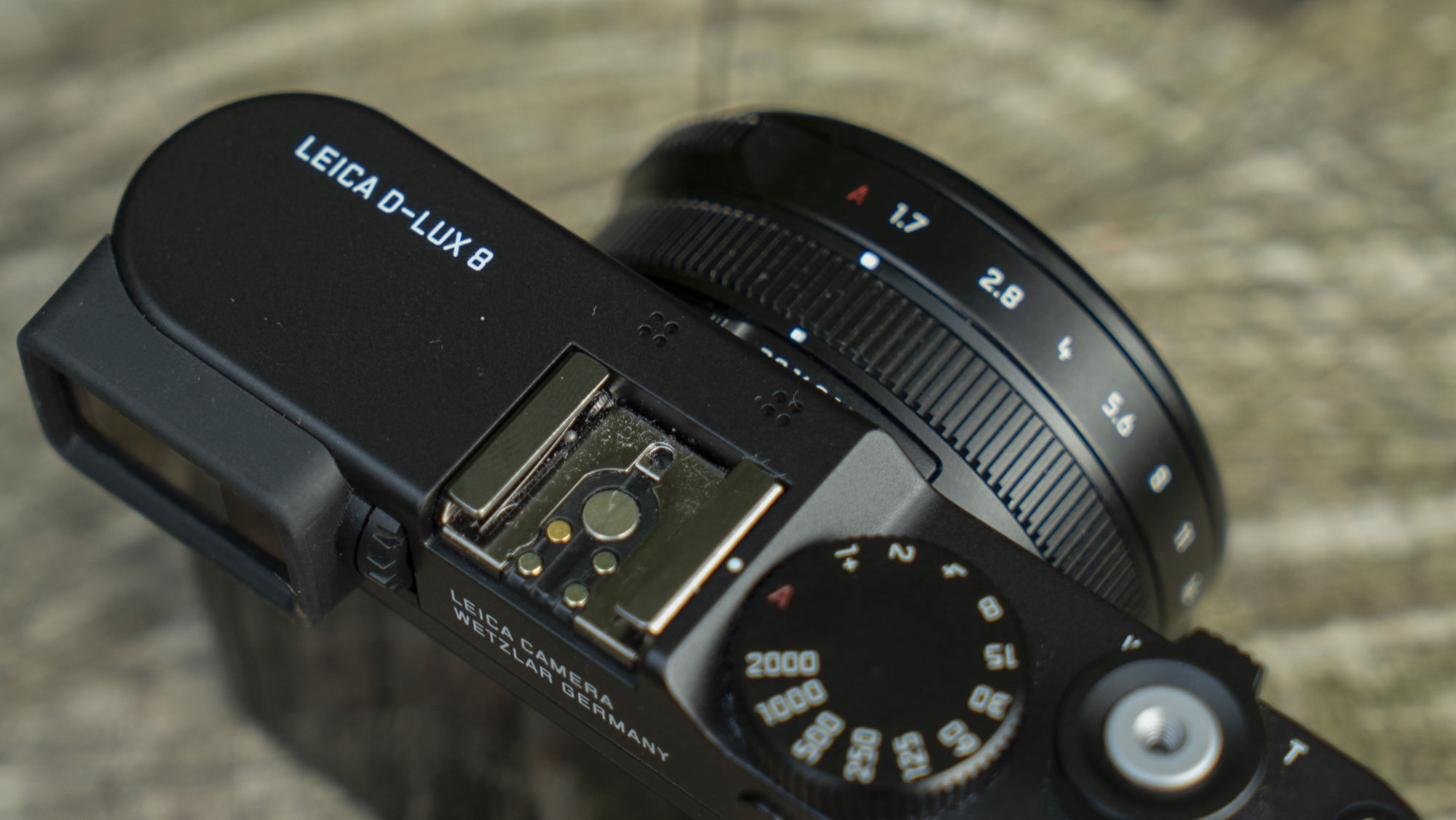 Image showing detail of the Leica D-Lux 8