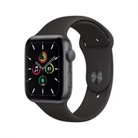 Apple Watch SE at Rs 29,900 |
