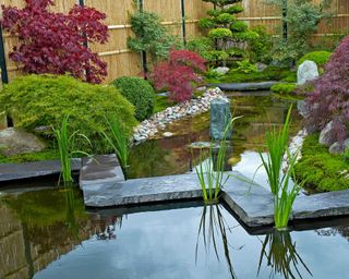 pond with path in Japanese style garden