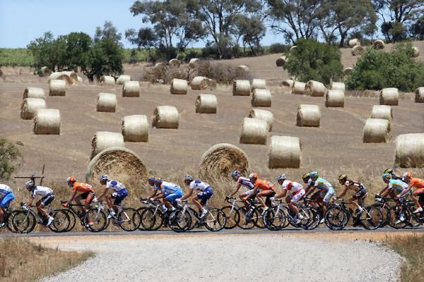 The peloton makes its way through the Barossa Valley.