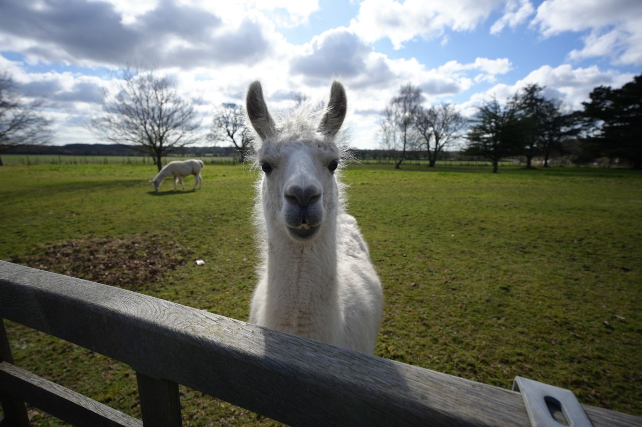 Sample image shot with the Sony FE 16mm F1.8 G lens