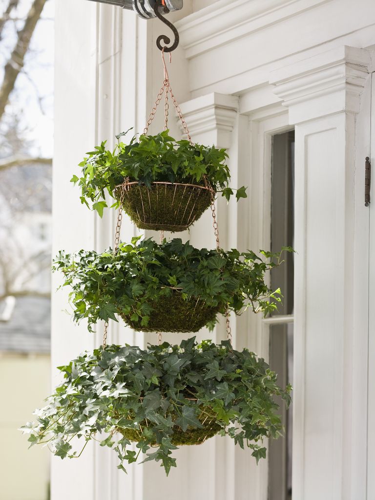Winter hanging basket ideas pretty winter hanging baskets Homes