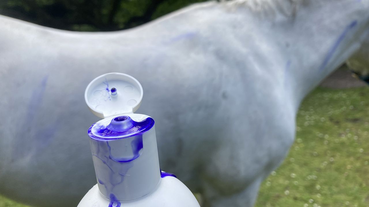 Blue Snow Shampoo cap