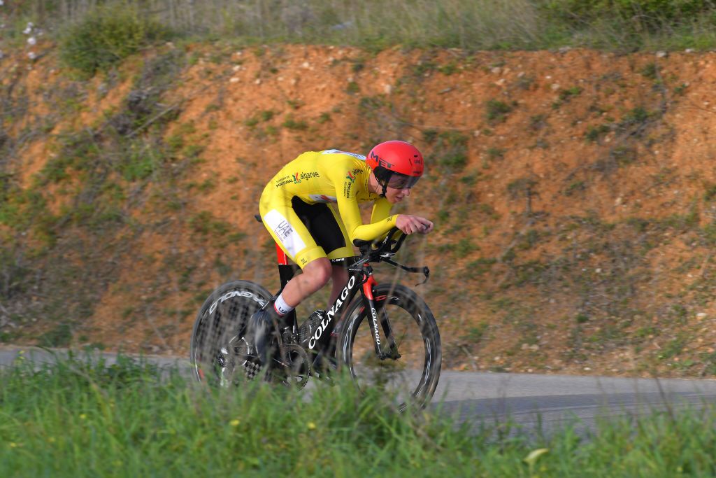 Tadej Pogacar (UAE Team Emirates)
