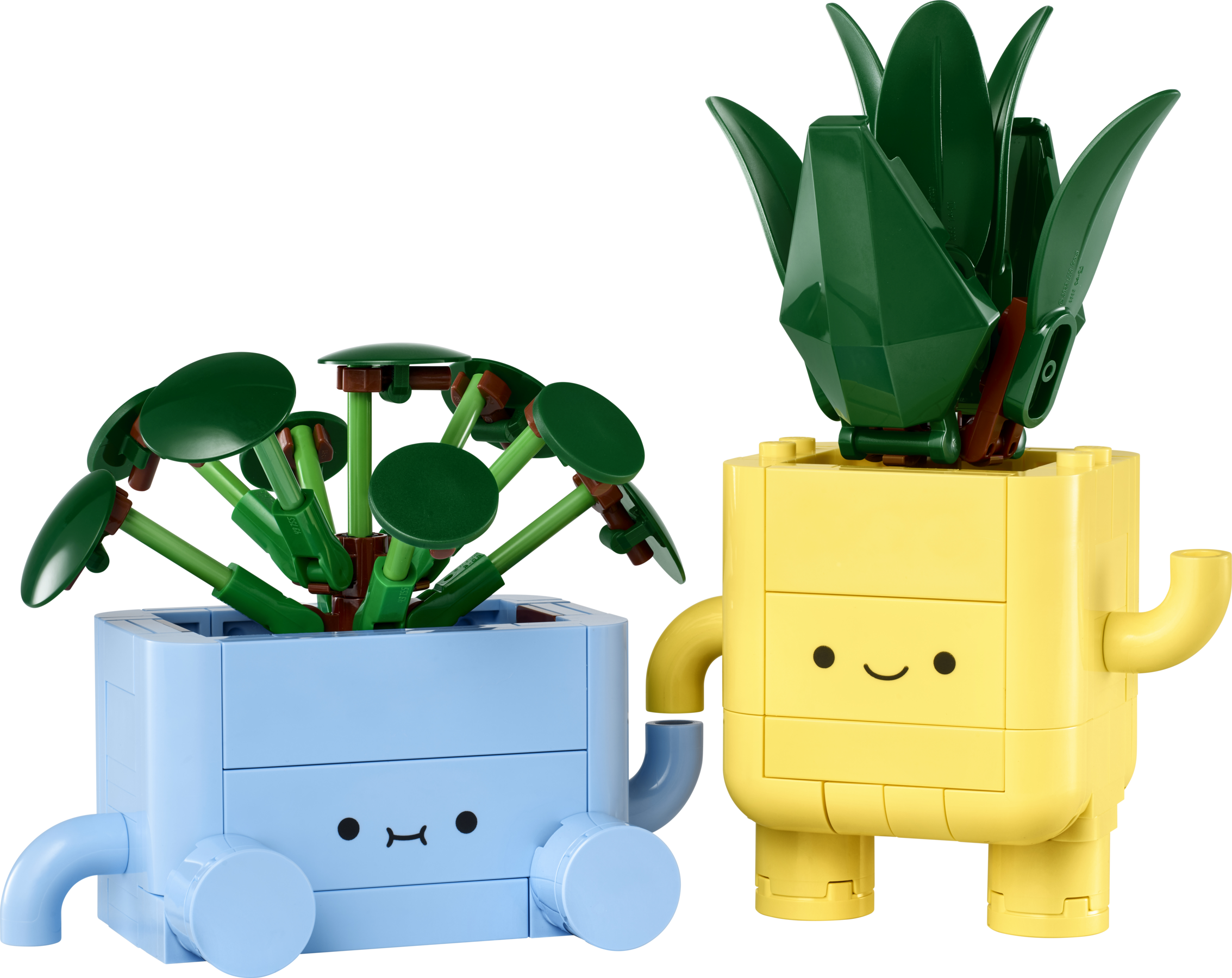 Happy Plants