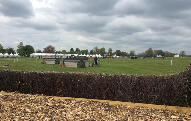 Badminton Fences 2017