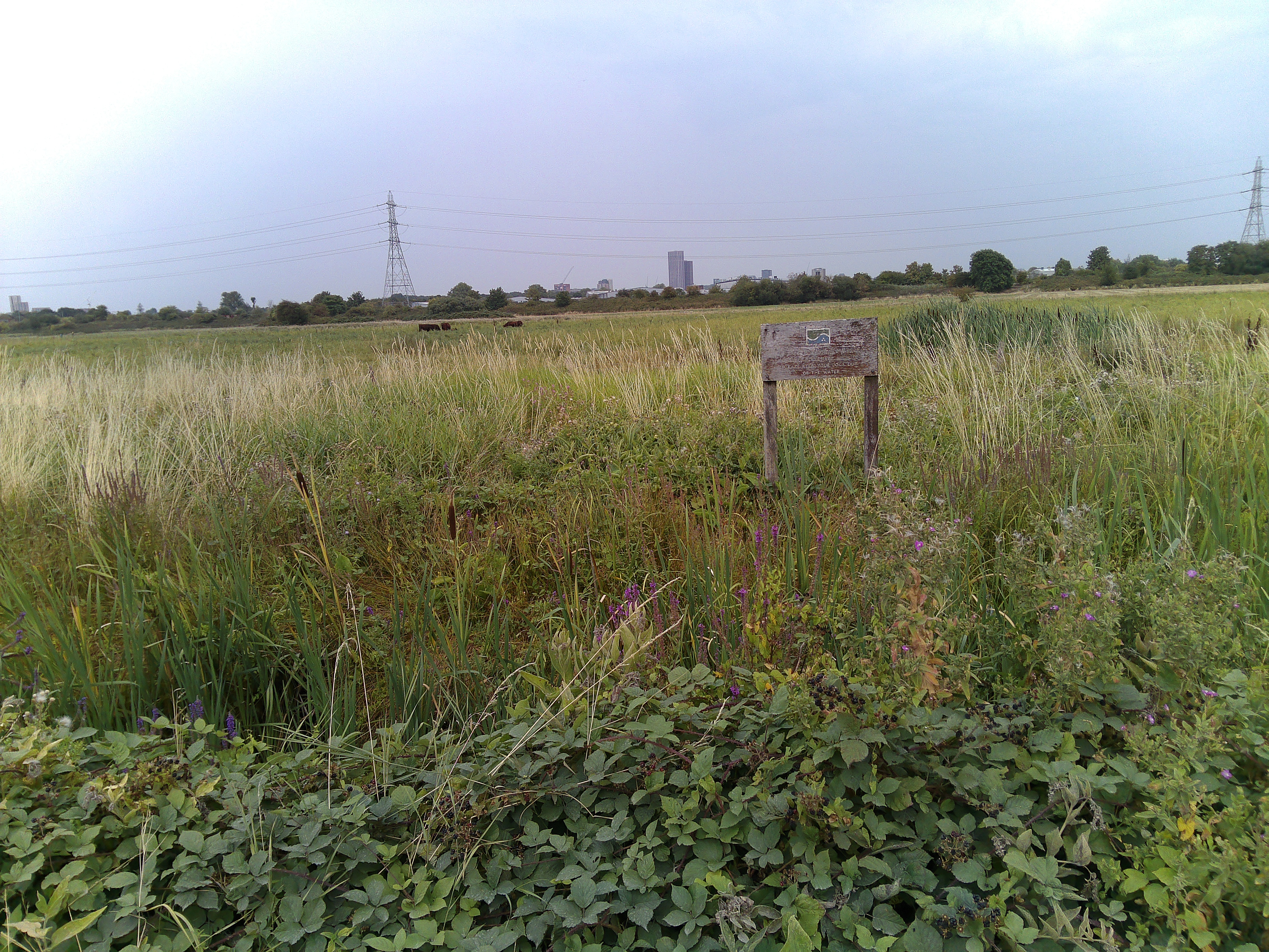 Sample image captured with iVue The Glide camera glasses