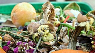 picture of food waste in compost bin