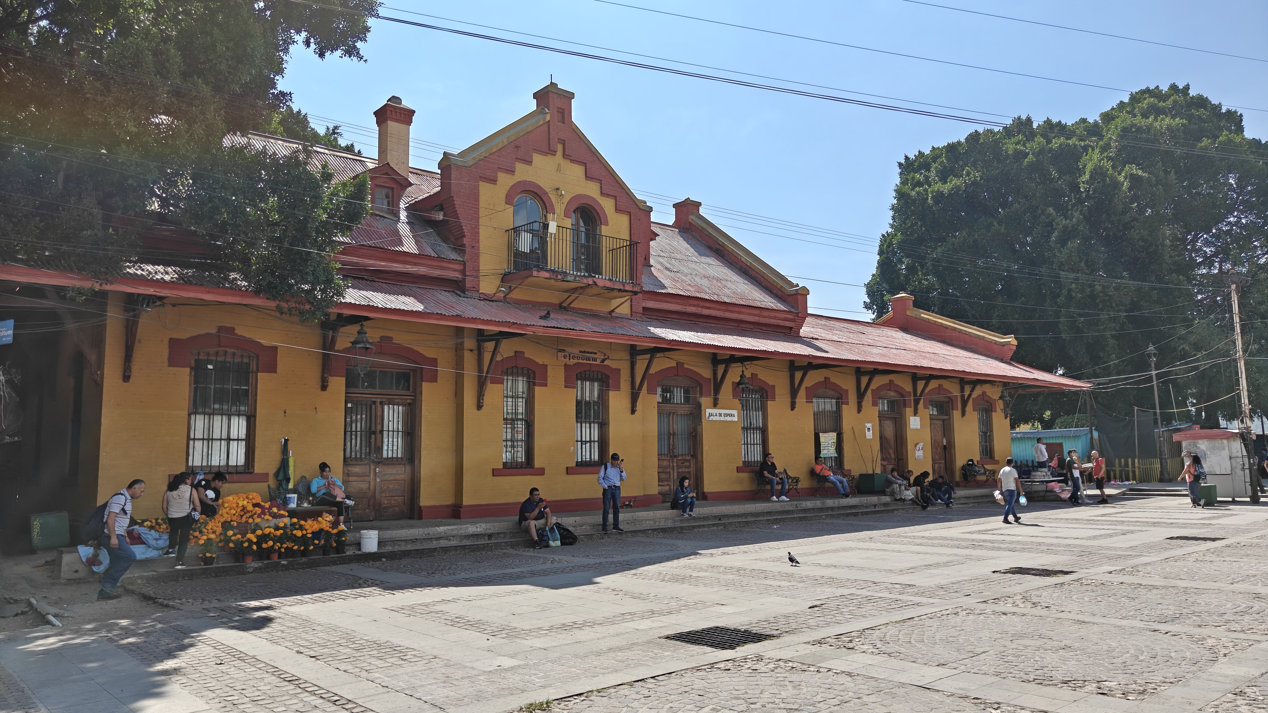 OnePlus 15 camera review