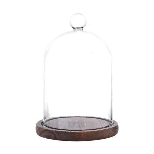 Refsaver Glass Dome With Base,glass Cloche Bell Jar,display Case With Wooden Base for Plants,collectibles (3.5 * 4.3 Inches)