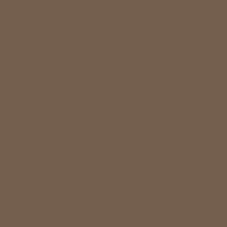 brown paint sample 