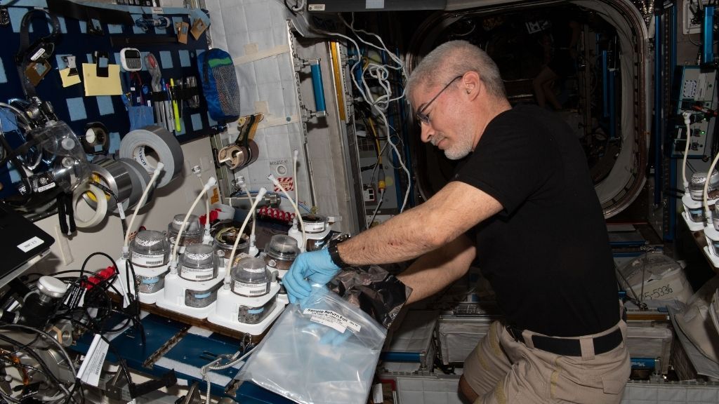 NASA astronaut and Expedition 66 Flight Engineer Mark Vande Hei harvests plants growing for the Veggie PONDS experiment and collects samples for later analysis