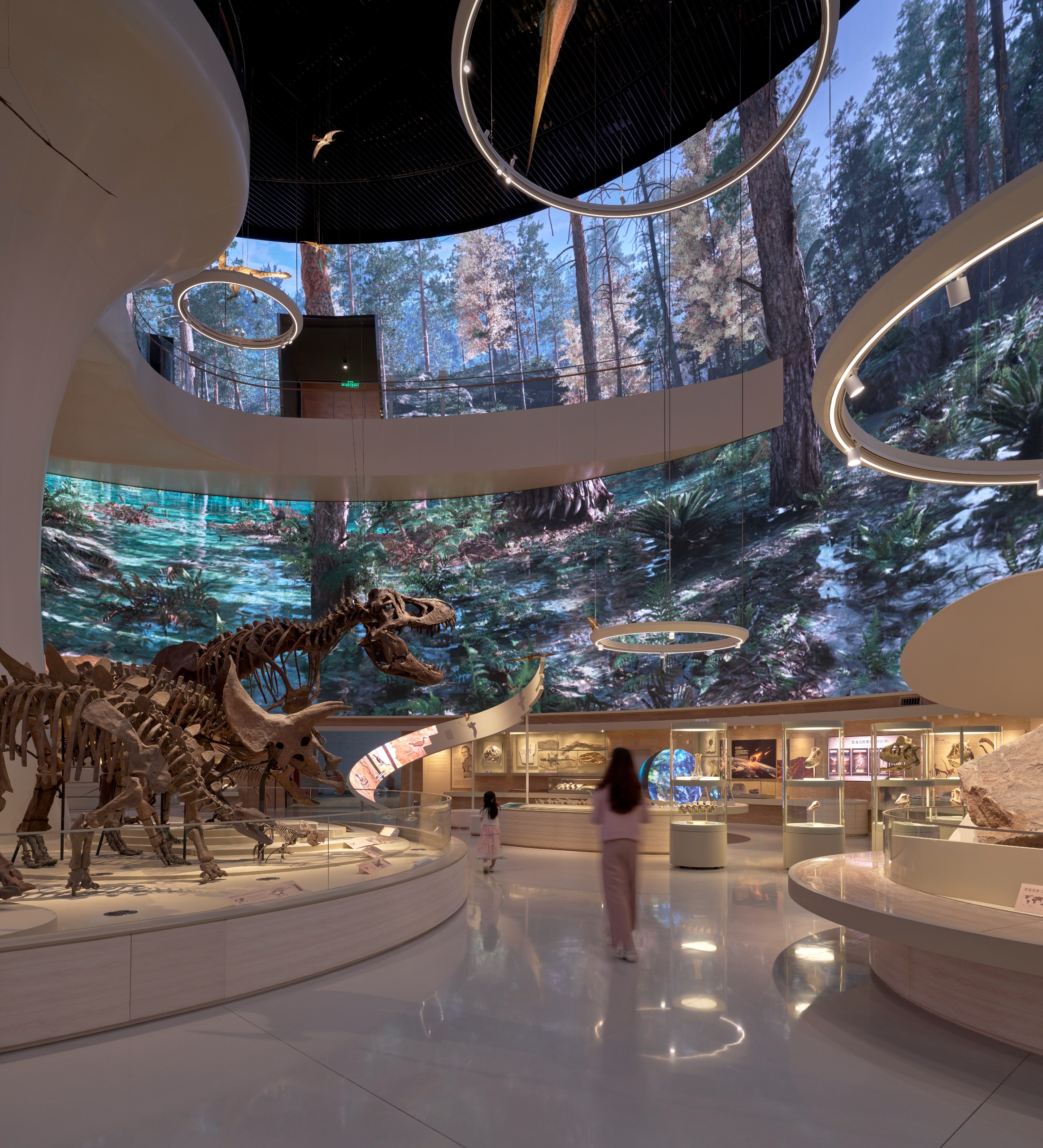 undulating forms of the Shenzhen Natural History Museum by 3XN, B+H Architects and Zhubo Design in a green park