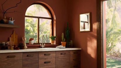timber kitchen cabinets with arched window, white countertop, artwork hanging on wall, cutting boards resting against wall, potted herbs and plants on counter, walls painted in dark, rust paint color