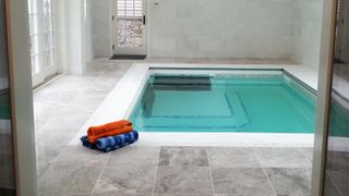 swimex swim spa