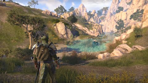 The Elder Scrolls Online: High Isle water and monster