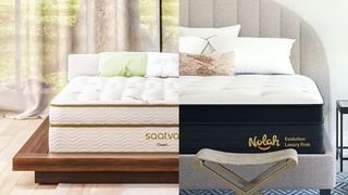 In this Saatva Classic vs Nolah Evolution 15 image, the Saatva Classic mattress is seen on the left and the Nolah Evolution 15 mattress is seen on the right