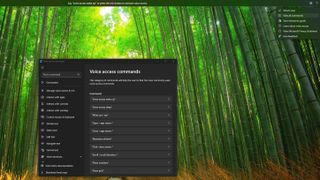 Windows 11 Voice Access screenshot