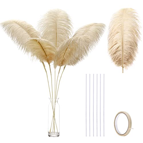 Ballinger Large Champagne Ostrich Feathers - 12pcs 16-18inch Feathers Making Kit Boho Feathers for Vase,wedding Party Centerpieces and Home Decor