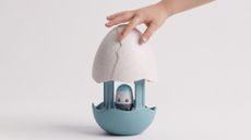 Nest Egg