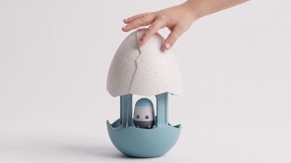 Nest Egg