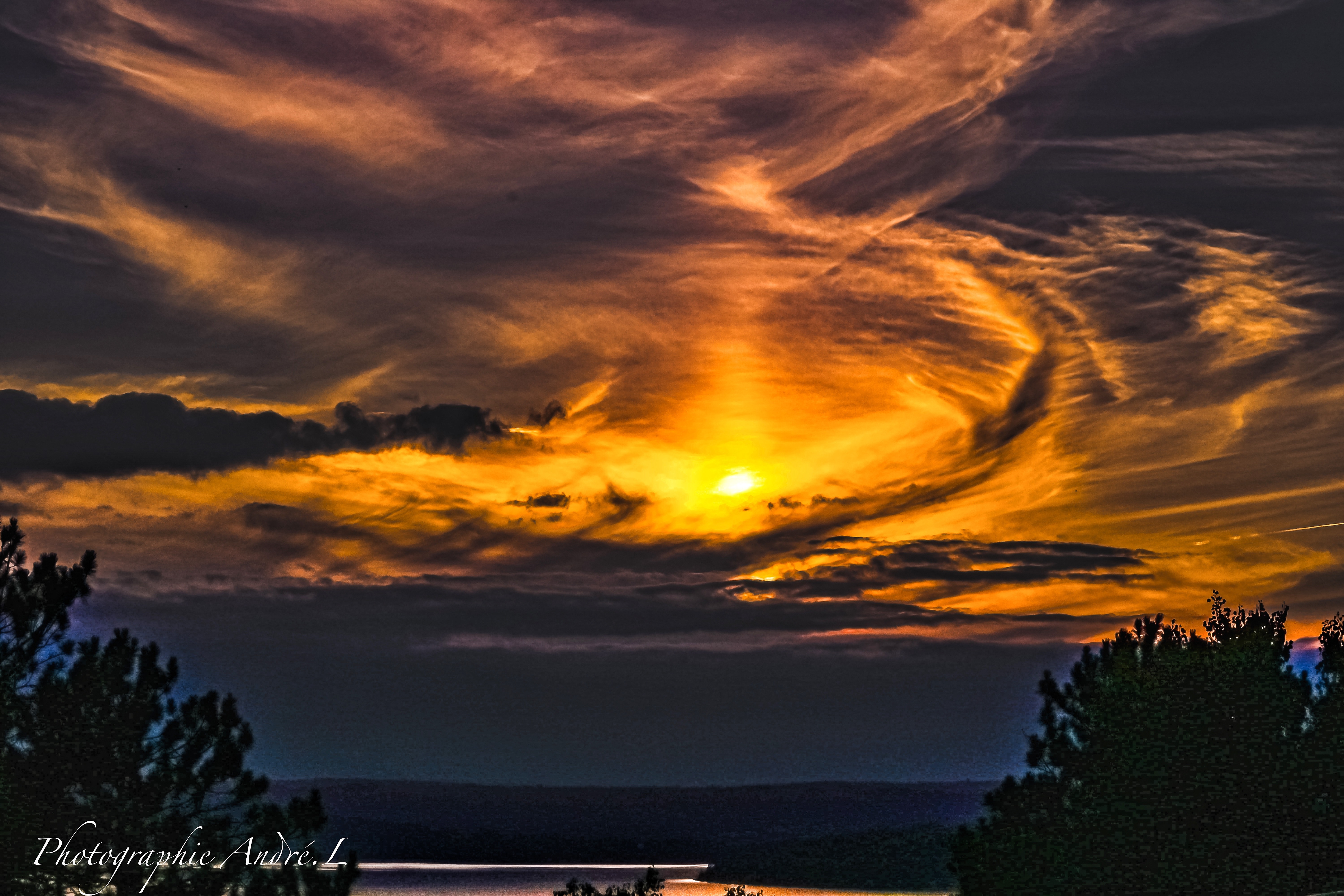 GuruShots - February 2026