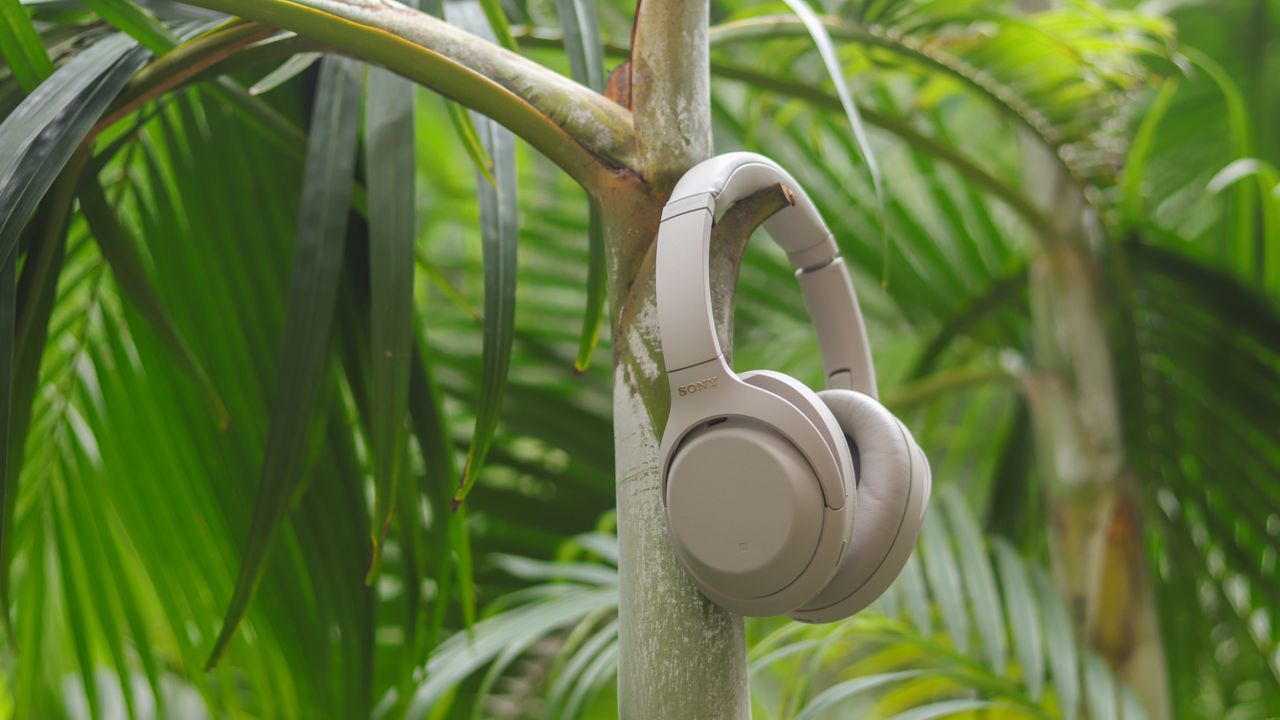 sony wh-1000xm4