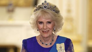 Camilla, Queen Consort during the State Banquet at Buckingham Palace