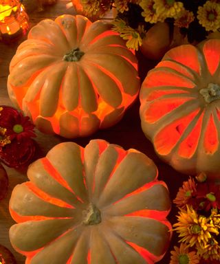 pumpkins carved with a decorative floral design for a fall display