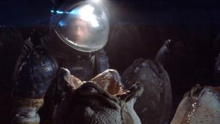 Alien eggs in Alien (1979).