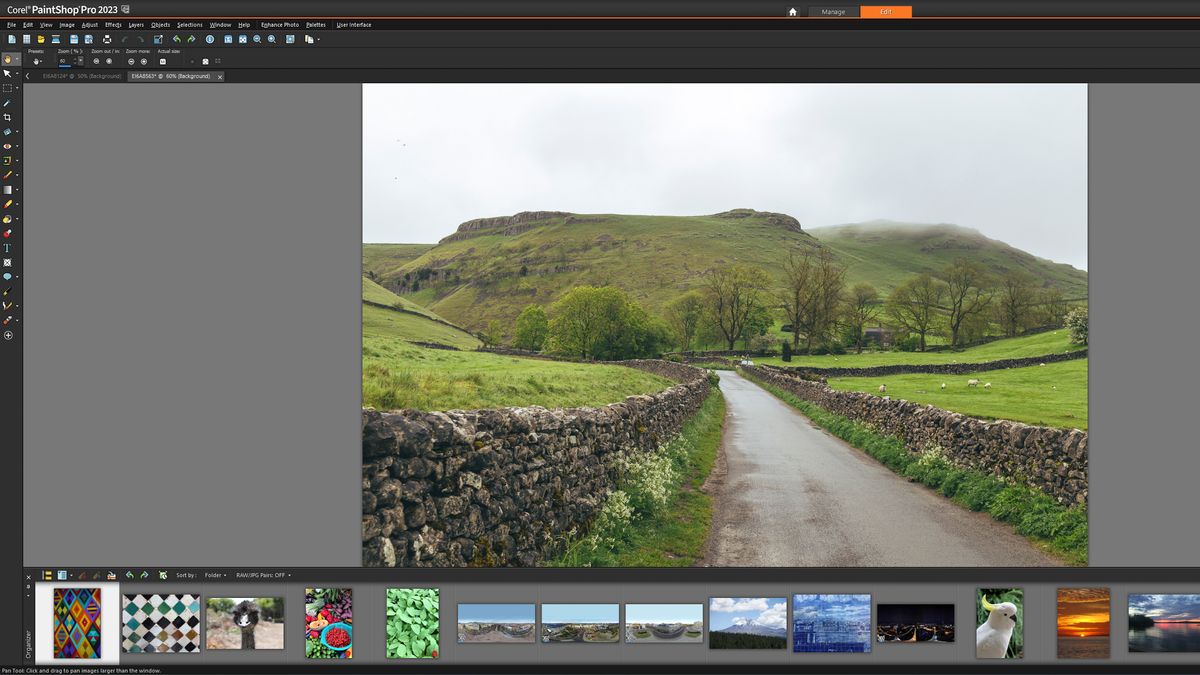 A screen grab from Corel PaintShop Pro