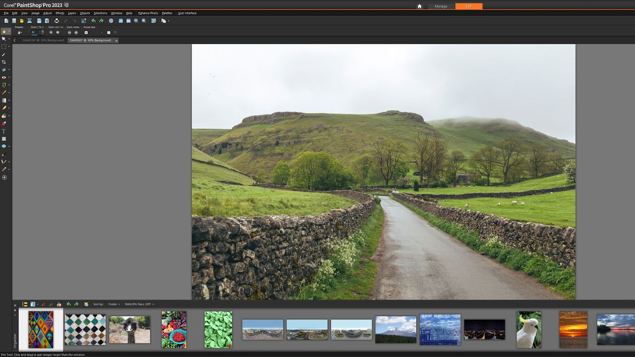 A screen grab from Corel PaintShop Pro