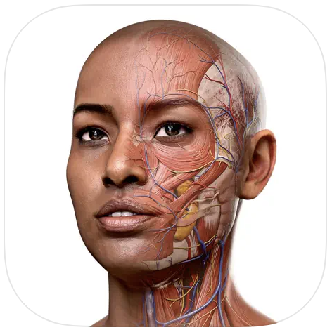 Complete Anatomy Platform 2021 App Icon