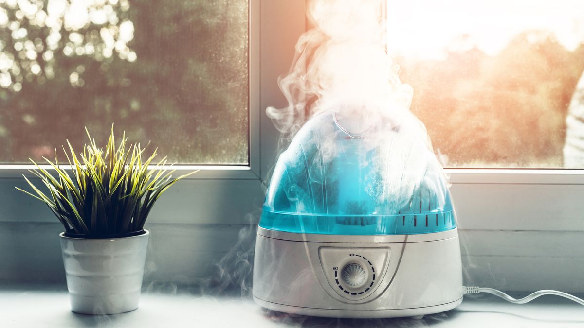 Top sale ten humidifiers