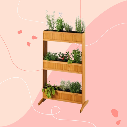 Lidl 3 tier planter on a pink backround.