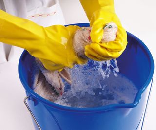 hands wearing yellow rubber gloves wringing white cloth in blue bucket filled with water