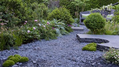 Modern rock garden planted with top plants for rockeries
