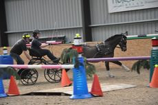 Emily Ham and Mr J at the bridge (indoor driving trials)