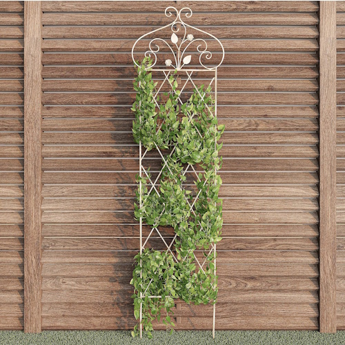 QVC Trellis